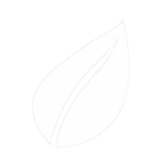 Sustainable patchouli oil production Indonesia